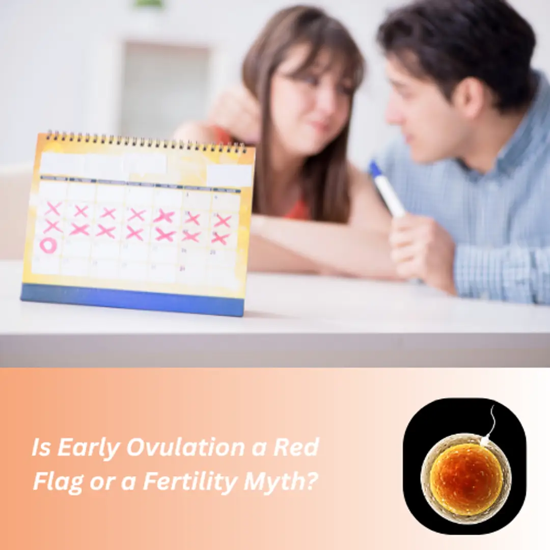 685d1c603420928fd4f87e58